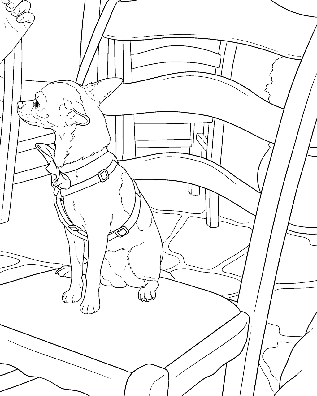 Coloring page of a small dog in a harness sitting on a chair, drawn from a pet photo