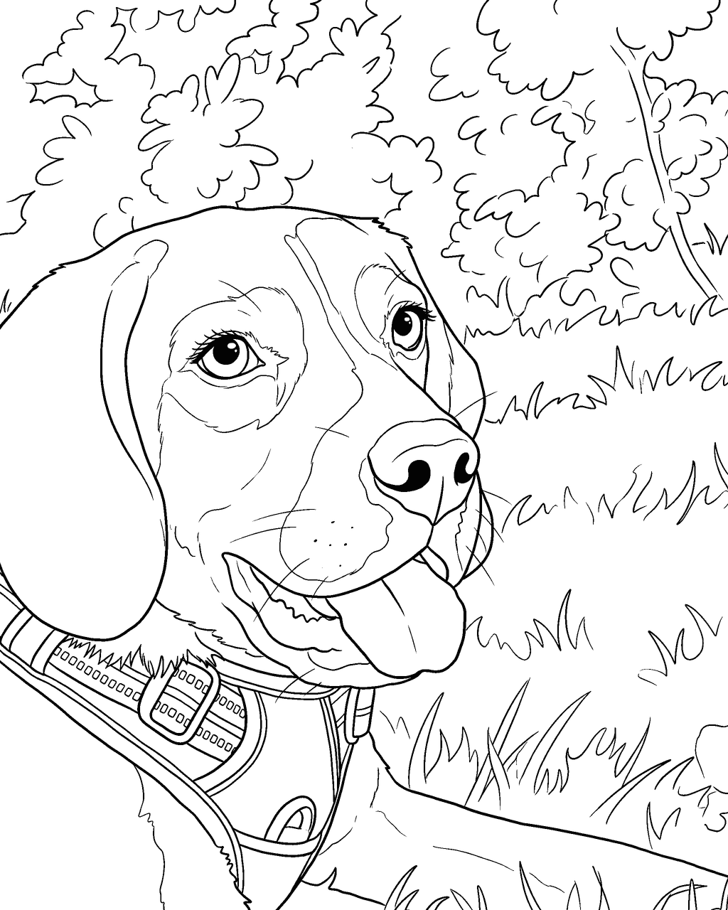 Classic coloring page of a beagle, ages 6–10
